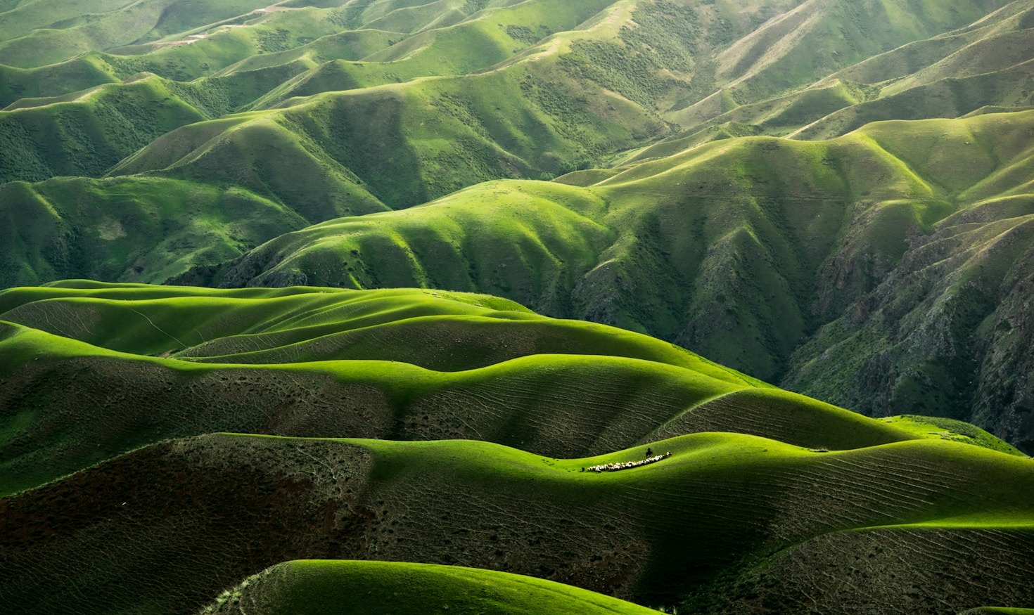 Hidden Gems: Underrated Spots Worth Exploring
